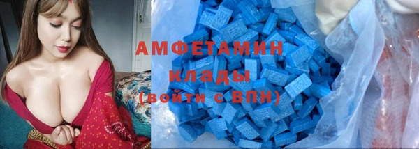 гашик Новозыбков