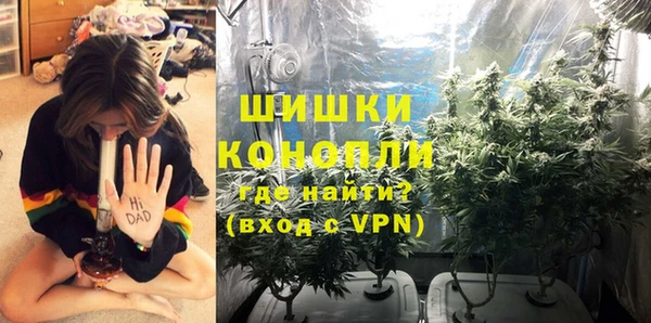прущие грибы Новокубанск
