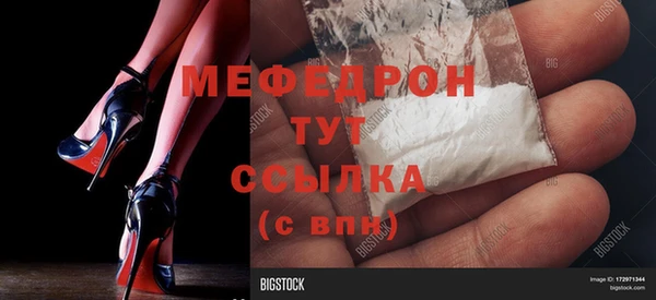 гашик Новозыбков