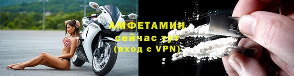 прущие грибы Новокубанск