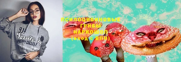 гашик Новозыбков